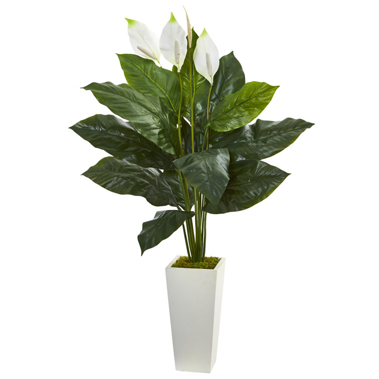 Everly Quinn Artificial Foliage Plant in Planter & Reviews Wayfair Canada